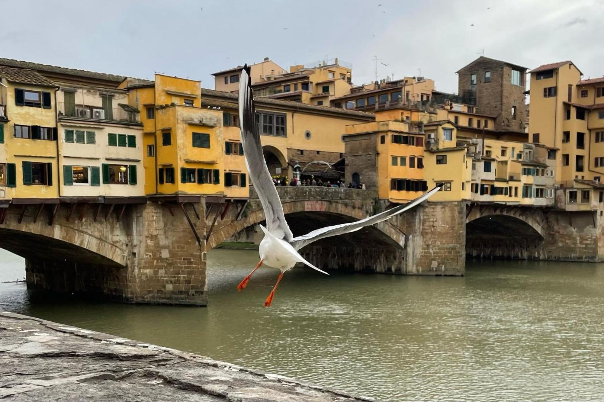 Vintage Apartments In The Heart Of Florence Ngoại thất bức ảnh